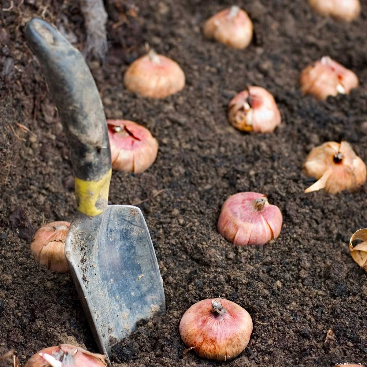 Comment préparer votre jardin pour l hiver en deux jours 