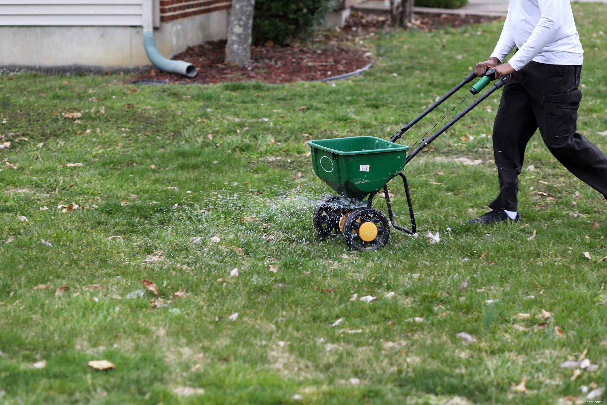 Conseils pour planter des graines de gazon à l automne 