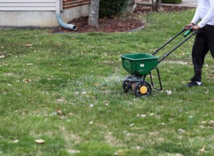 Conseils pour planter des graines de gazon à l automne 