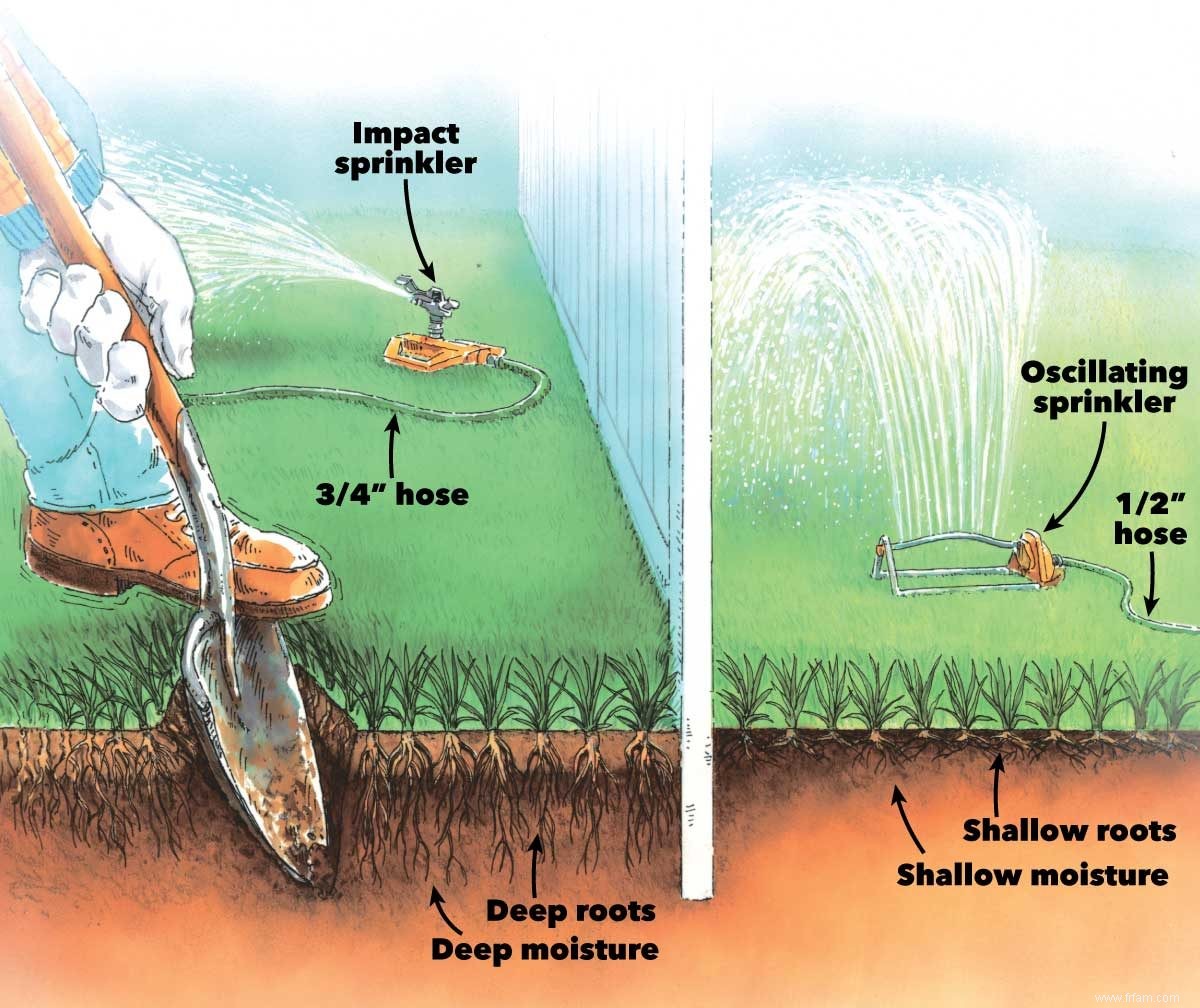 Comment garder l herbe verte et obtenir une pelouse saine 