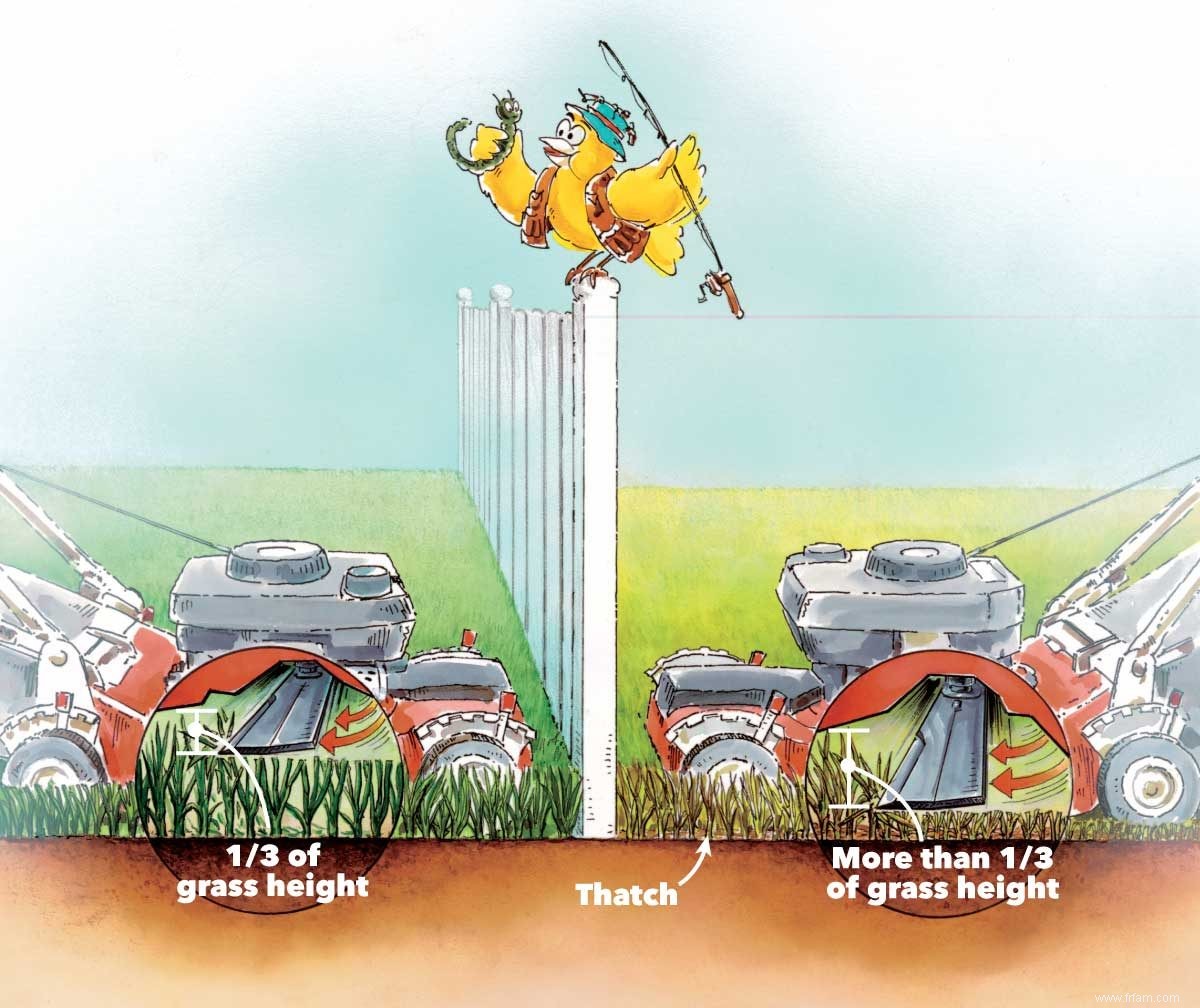 Comment garder l herbe verte et obtenir une pelouse saine 