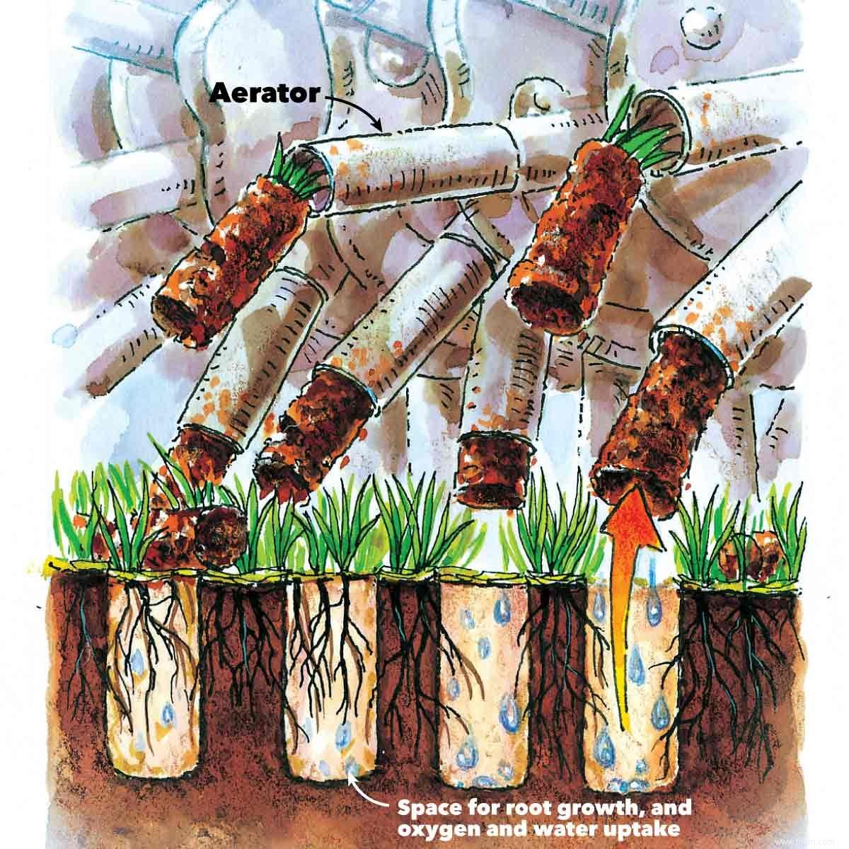 Comment garder l herbe verte et obtenir une pelouse saine 