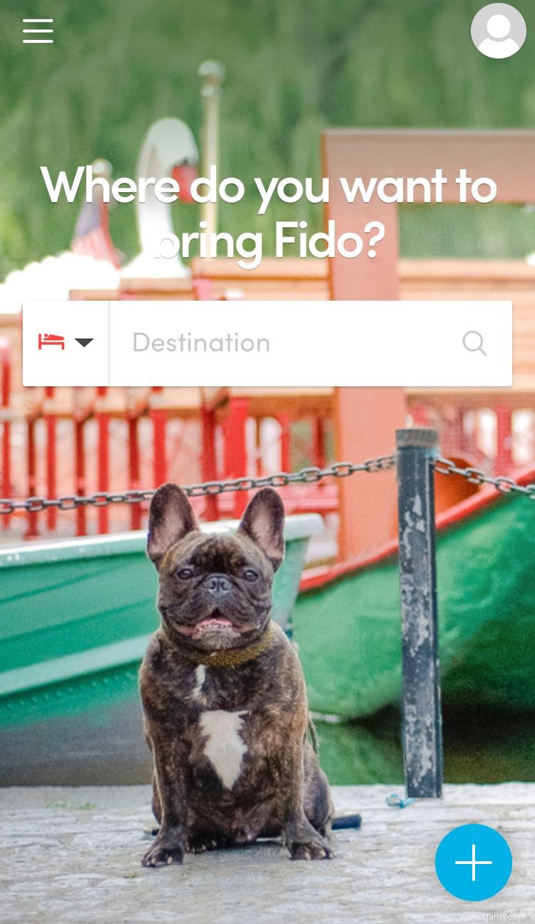 7 applications iPhone indispensables pour tous les propriétaires de chiens 