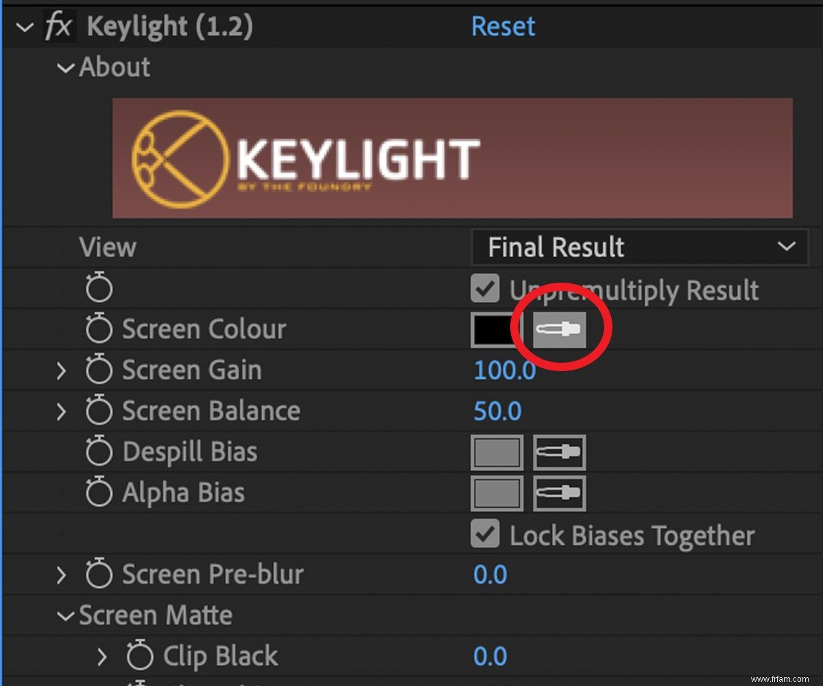 Premiers pas avec le plug-in Keylight dans After Effects 