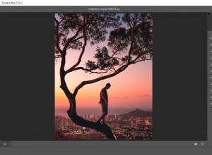 Comment utiliser Adobe Camera Raw comme objet intelligent dans Photoshop 