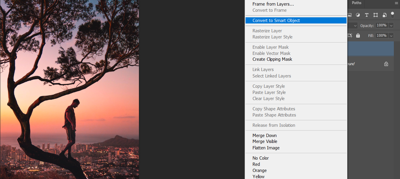 Comment utiliser Adobe Camera Raw comme objet intelligent dans Photoshop 