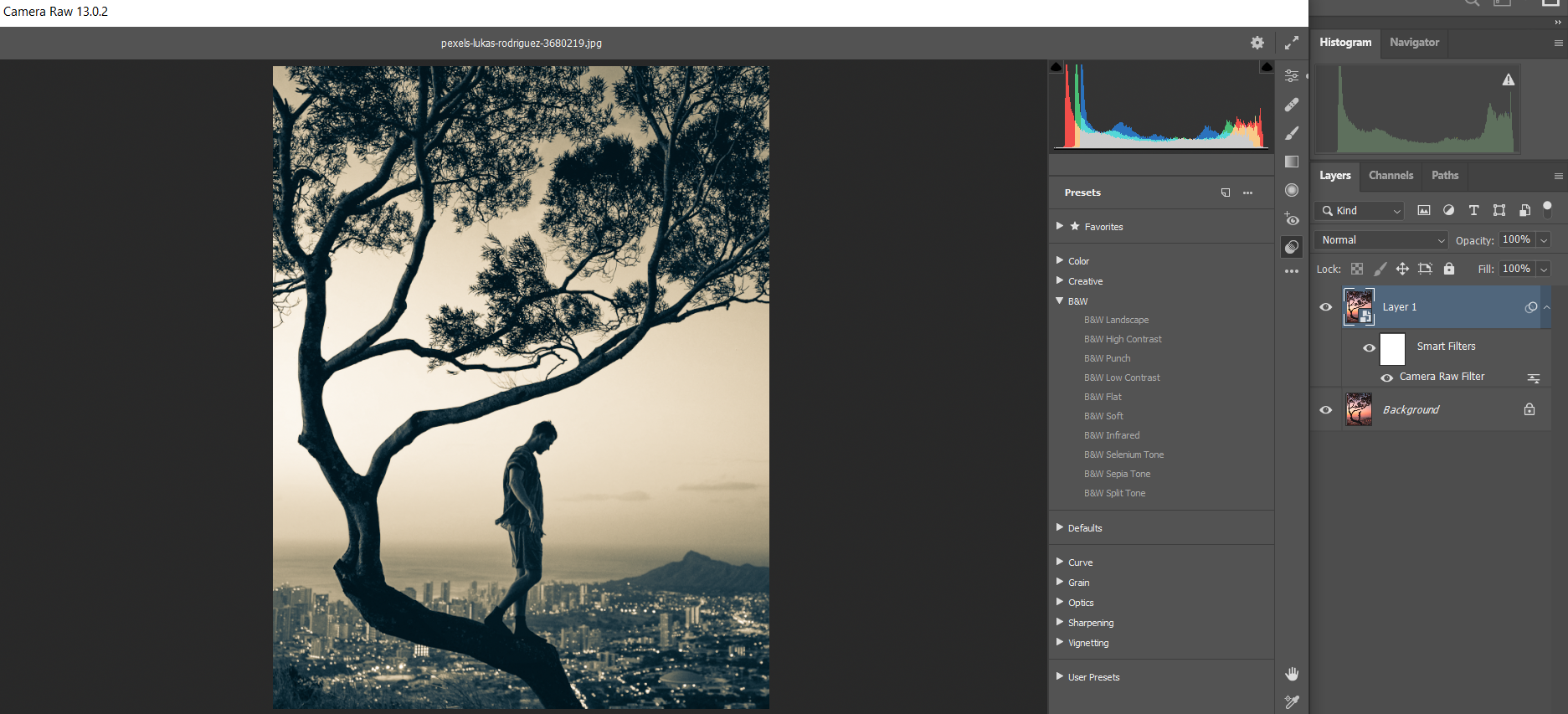 Comment utiliser Adobe Camera Raw comme objet intelligent dans Photoshop 