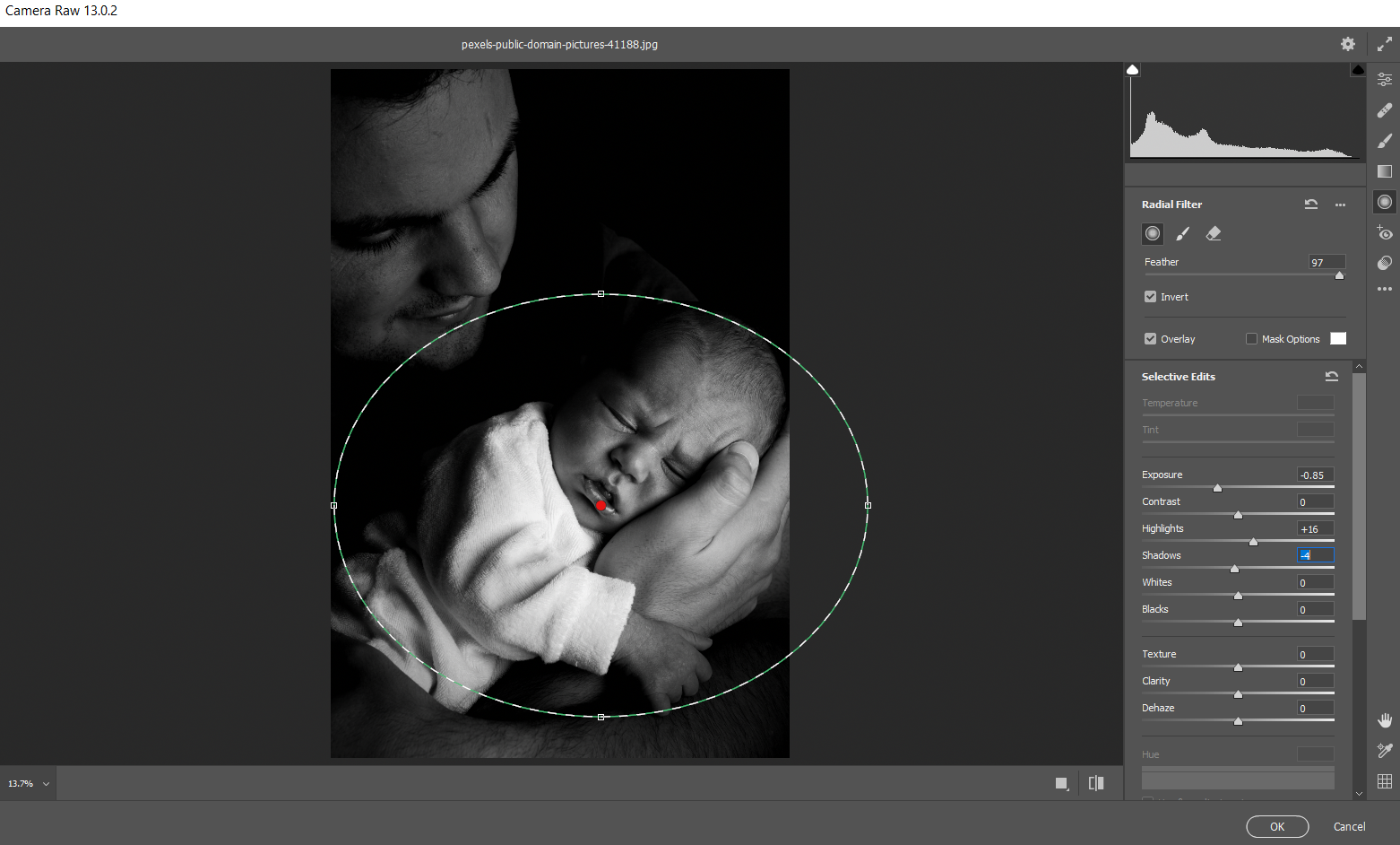 Comment utiliser Adobe Camera Raw comme objet intelligent dans Photoshop 