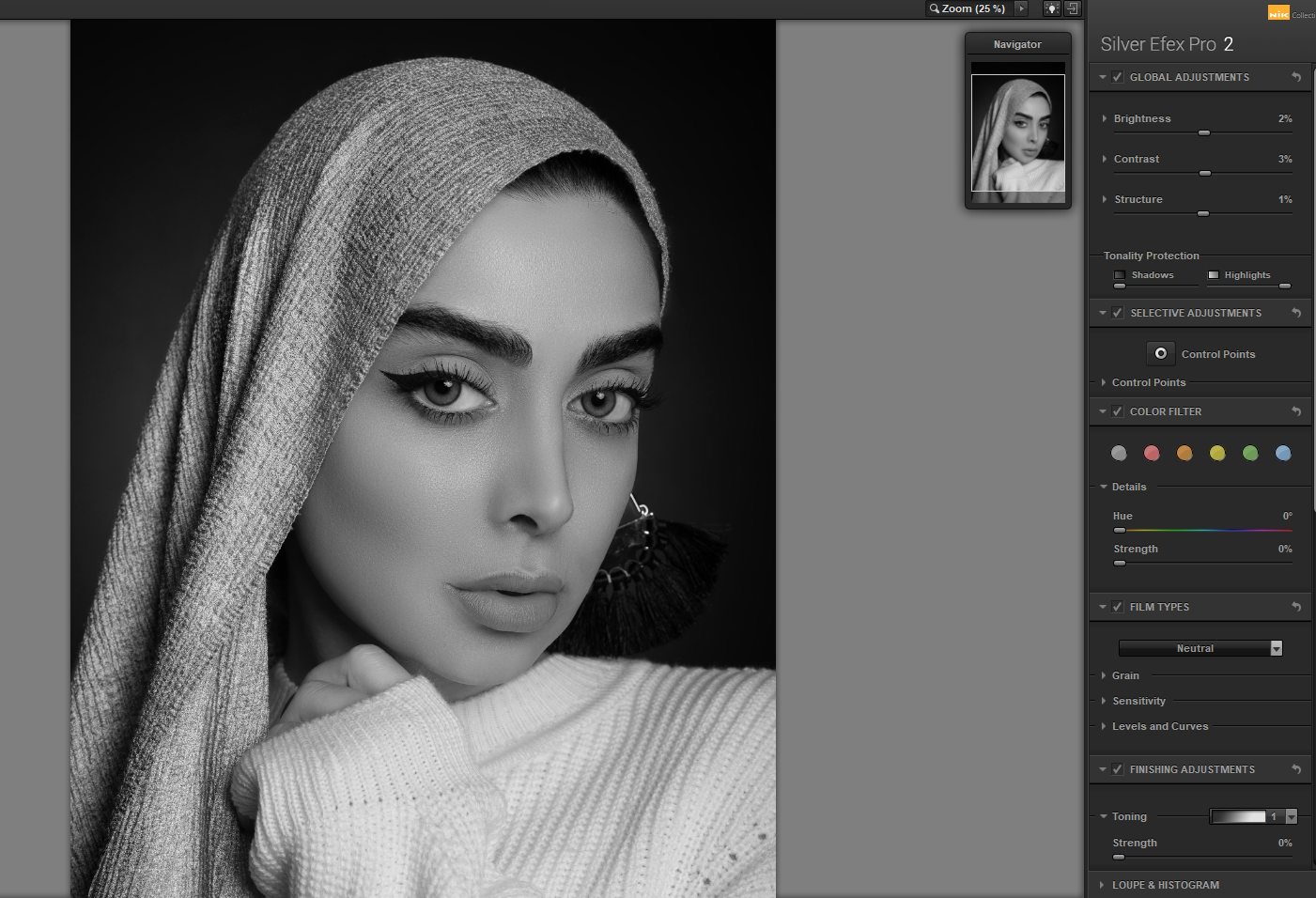 Comment convertir des images en noir et blanc dans Photoshop à l aide de Silver Efex Pro 