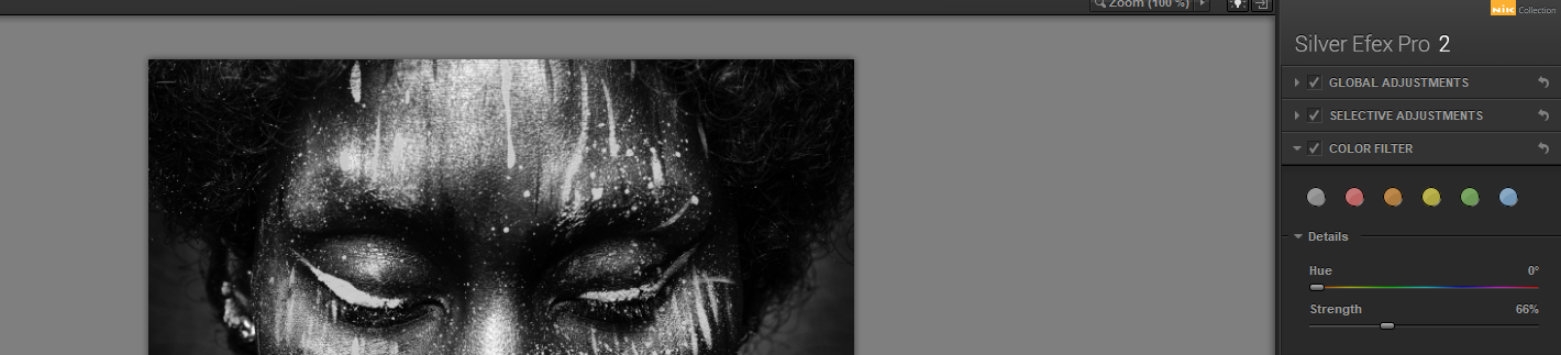 Comment convertir des images en noir et blanc dans Photoshop à l aide de Silver Efex Pro 