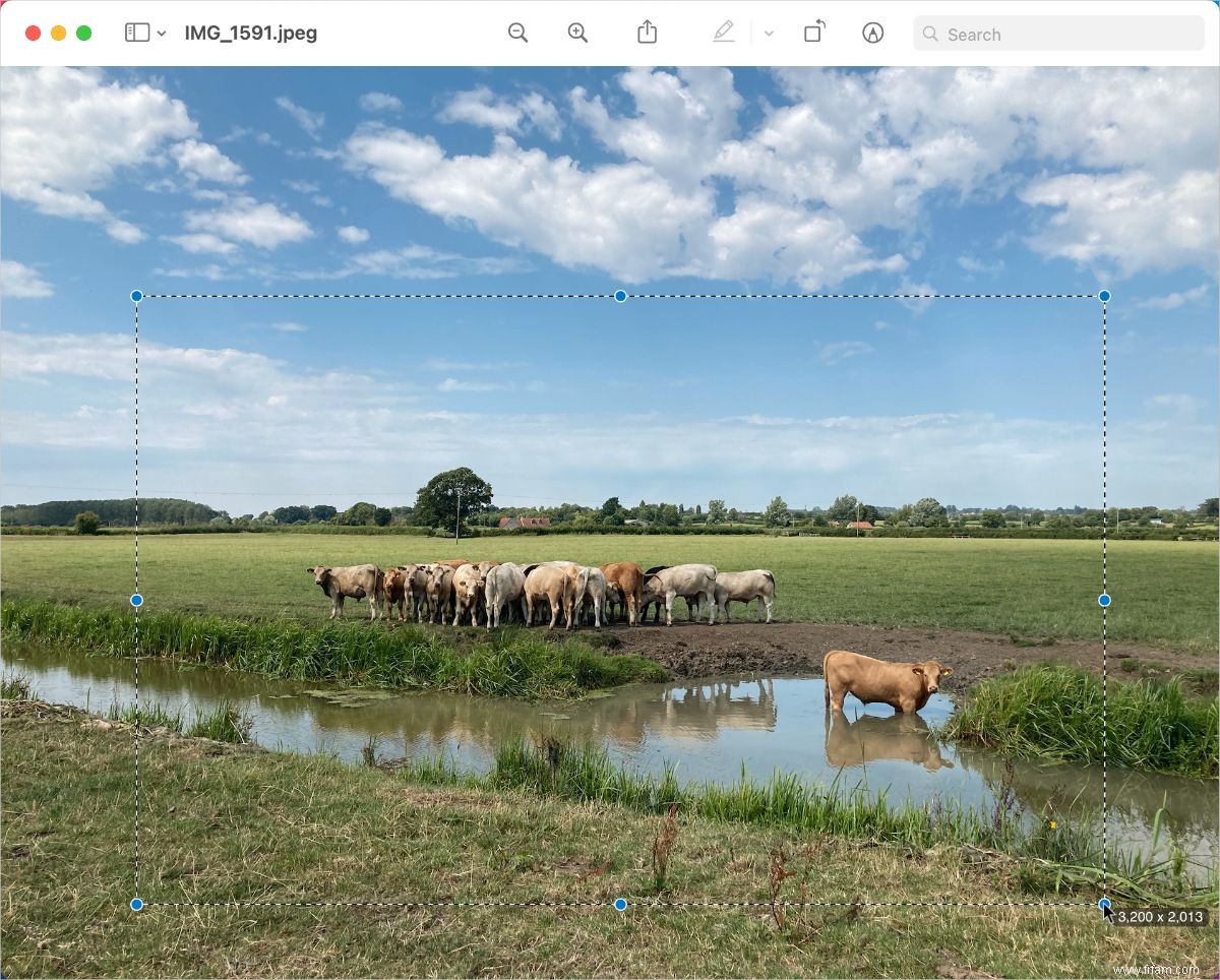 Comment recadrer une image sur votre Mac 