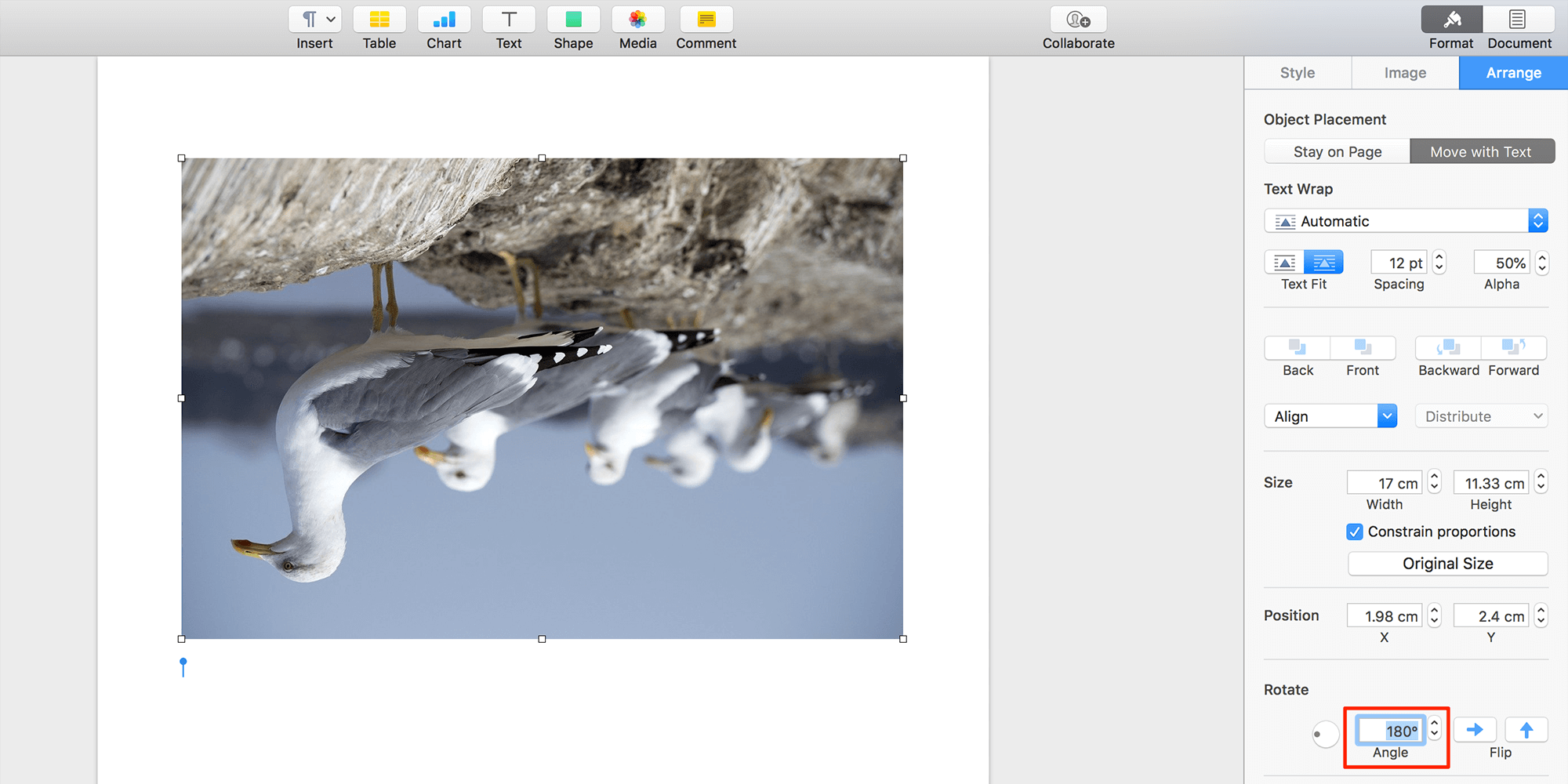 Comment retourner une photo à l envers dans Word, Apple Pages et Google Docs 