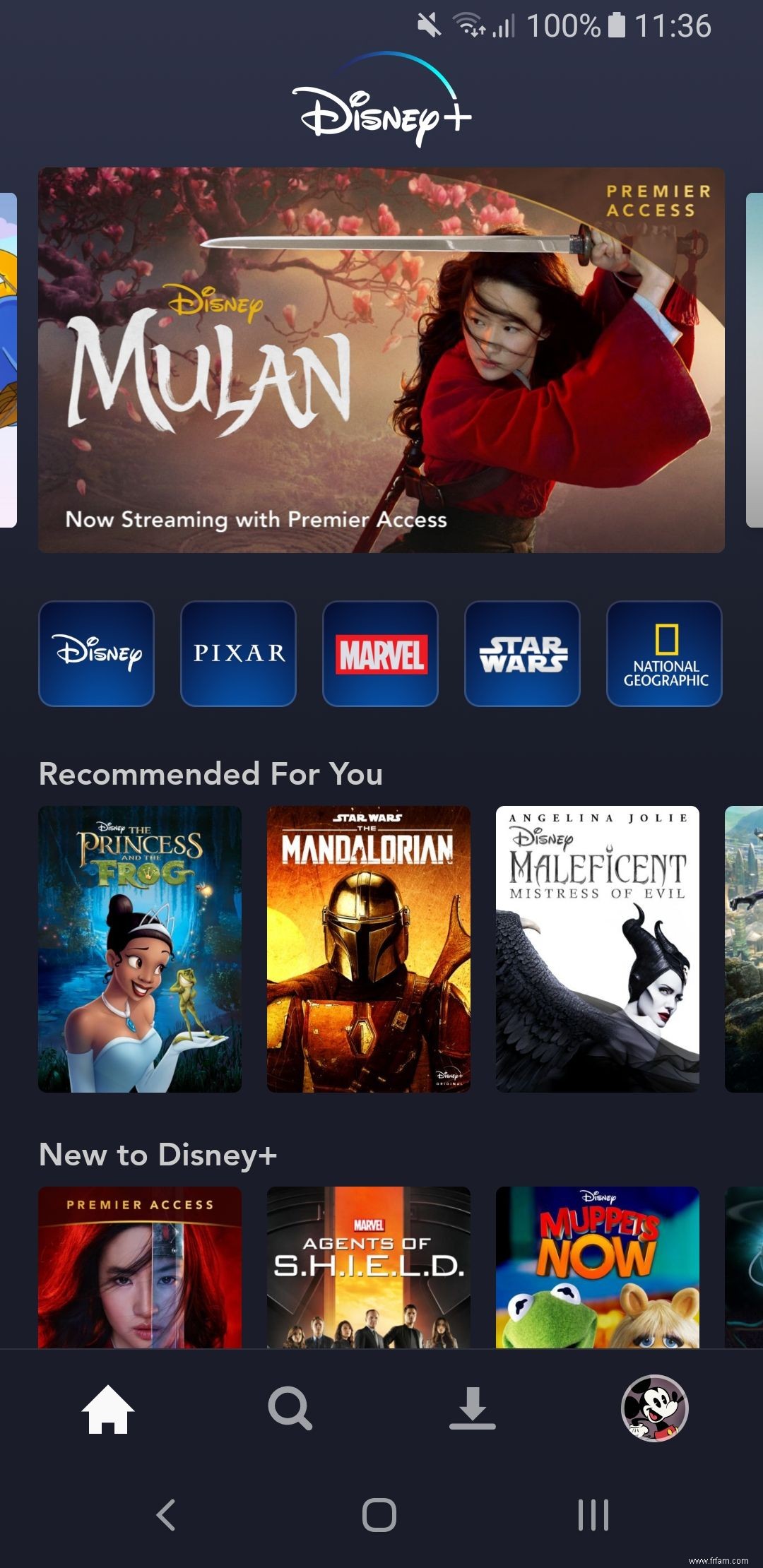 Comment regarder Mulan sur Disney + dès maintenant 