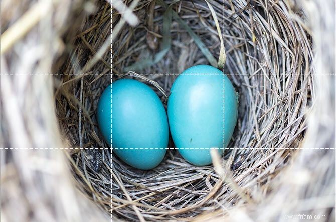 Comment utiliser la règle des tiers en photographie 