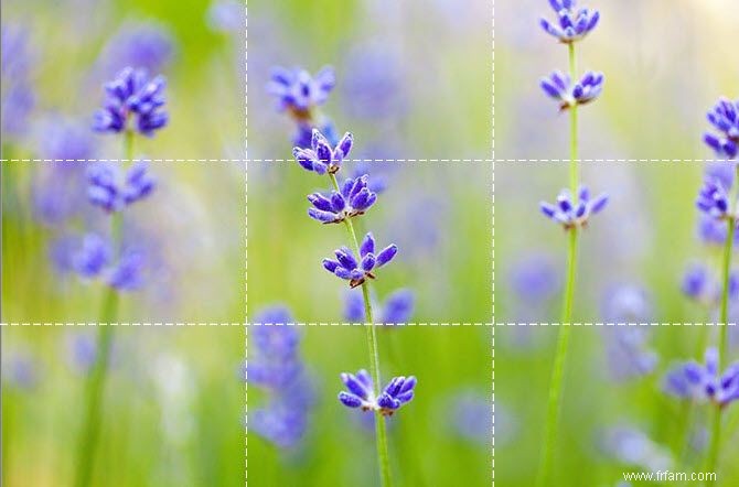 Comment utiliser la règle des tiers en photographie 