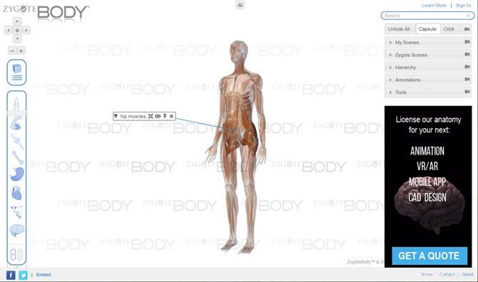 Les 6 meilleures visites virtuelles du corps humain pour l anatomie interactive 