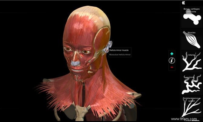 Les 6 meilleures visites virtuelles du corps humain pour l anatomie interactive 