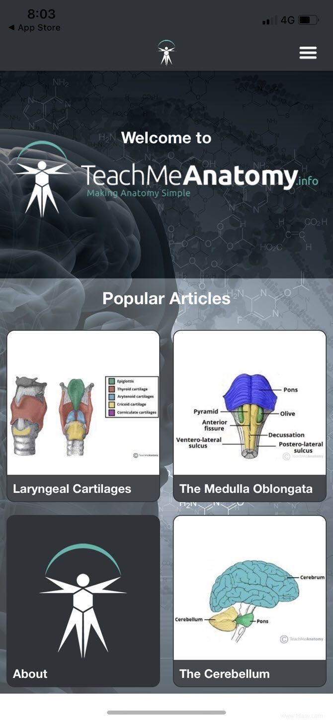 Les 6 meilleures visites virtuelles du corps humain pour l anatomie interactive 