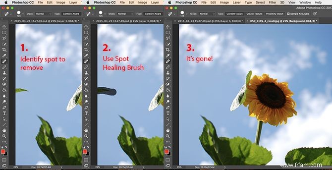 10 compétences Photoshop indispensables pour les photographes débutants 