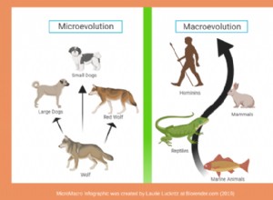 La théorie de l évolution :5 sites sympas à visiter le jour de Darwin 