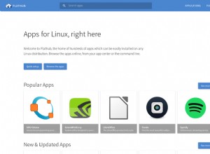 Flathub vs Snap Store :Les meilleurs sites pour télécharger des applications Linux 