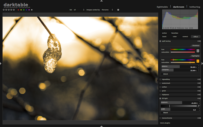 Les 10 meilleures alternatives Lightroom (gratuites et payantes) 