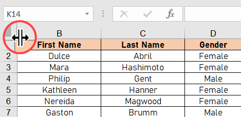 Comment masquer et afficher tout ce que vous voulez dans Microsoft Excel 