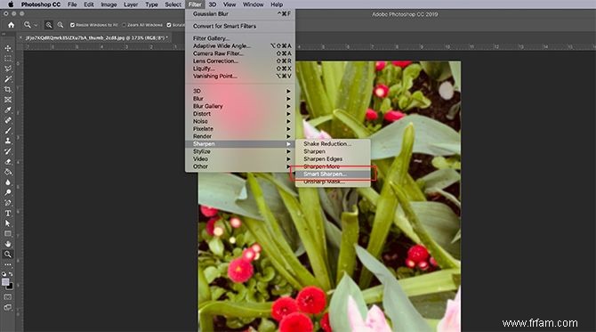 Comment rendre vos photos plus nettes avec Adobe Photoshop 