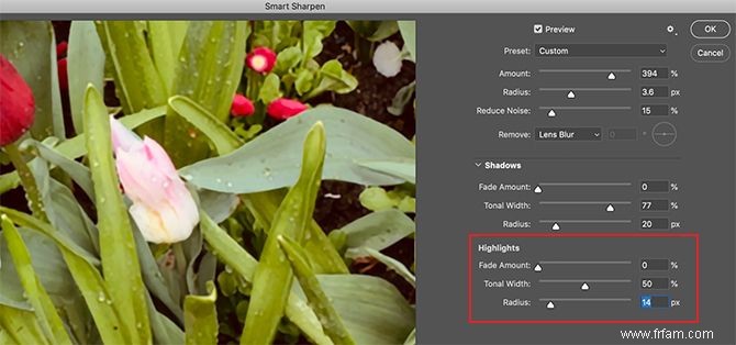 Comment rendre vos photos plus nettes avec Adobe Photoshop 