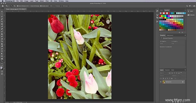 Comment rendre vos photos plus nettes avec Adobe Photoshop 