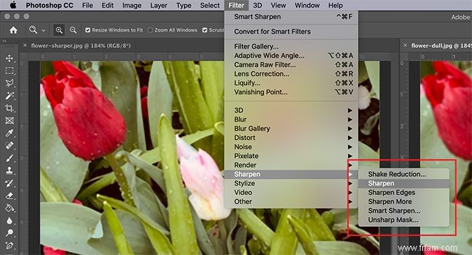 Comment rendre vos photos plus nettes avec Adobe Photoshop 