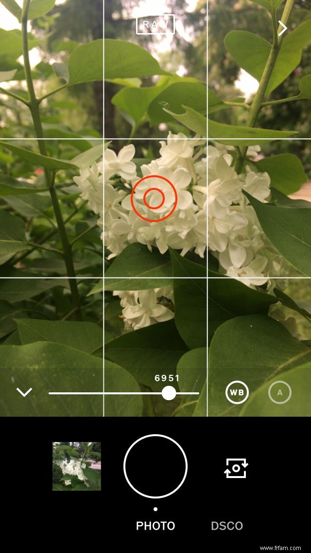 Qu est-ce que VSCO et pourquoi les photographes sur smartphone l utilisent-ils ? 