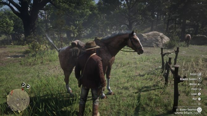 10 conseils essentiels pour Red Dead Redemption 2 