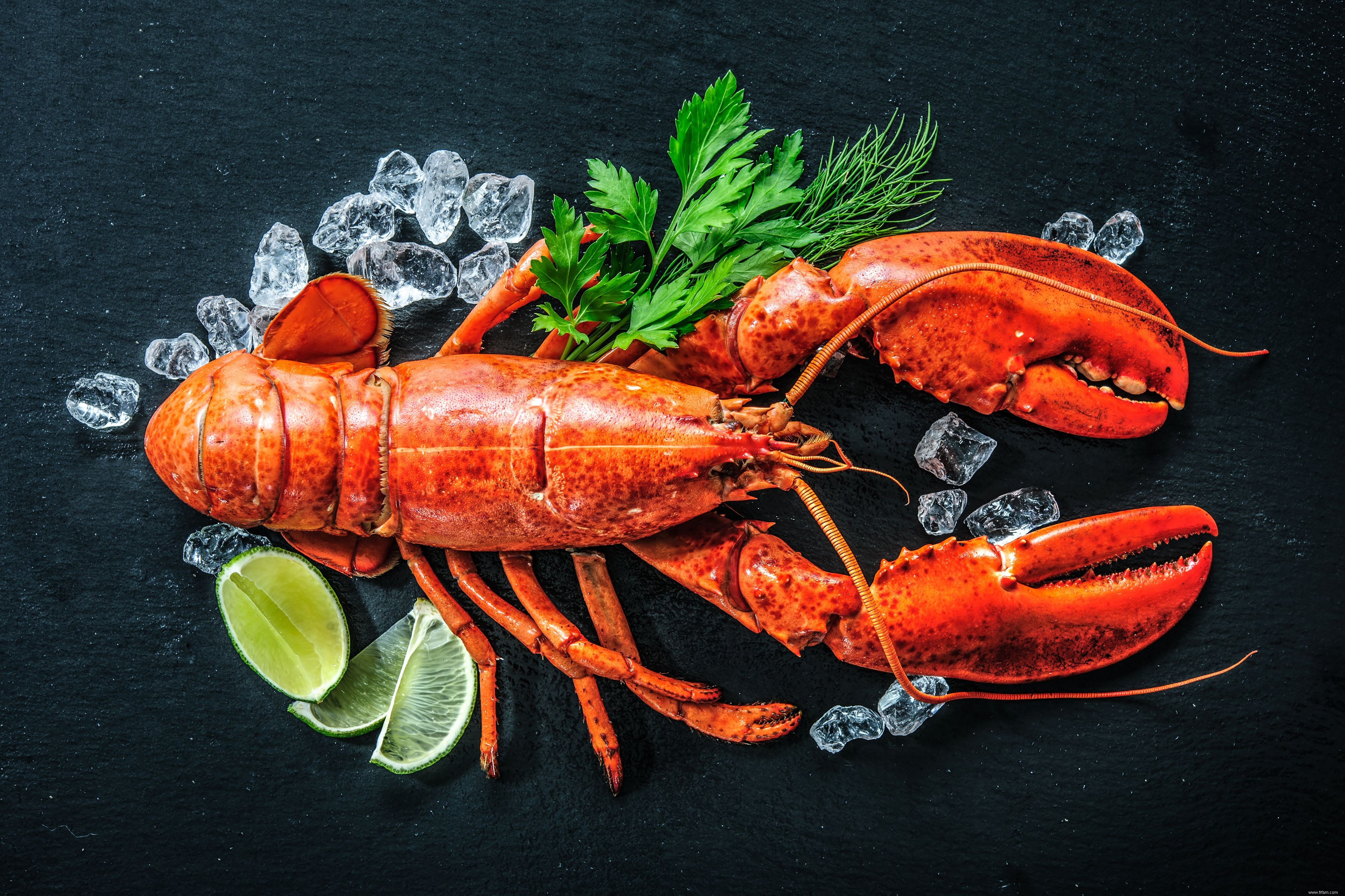 Les homards ressentent-ils la douleur ? 