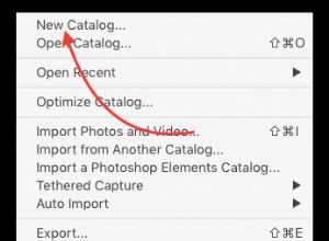 3 raisons de commencer à utiliser plusieurs catalogues dans Lightroom 