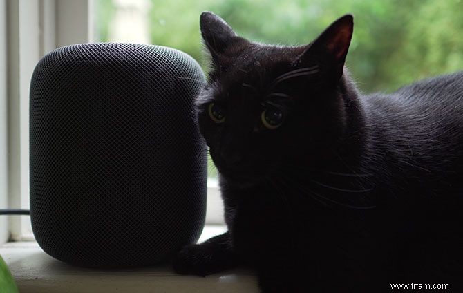 Qu est-ce qu Apple HomePod et en avez-vous besoin ? 