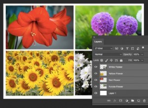 Comment appliquer un filtre intelligent à plusieurs calques dans Photoshop 