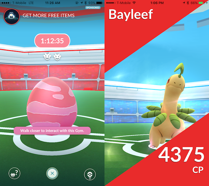 Maître Pokémon Gos Nouveaux gymnases et raids avec ces 9 conseils 