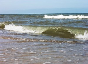 Plus de maladies dues au réchauffement de l eau de mer 