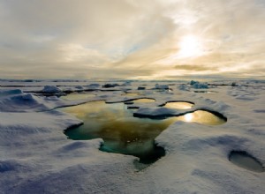 Moins de glace arctique, plus d algues 