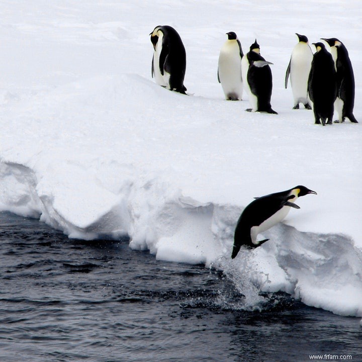 L Antarctique, le making of 