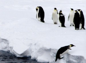 L Antarctique, le making of 