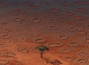 extraterrestres? Non, les termites 