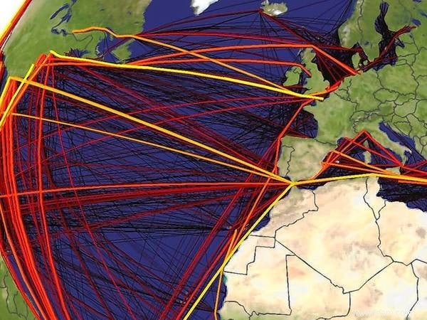 Les routes maritimes préférées des espèces envahissantes 