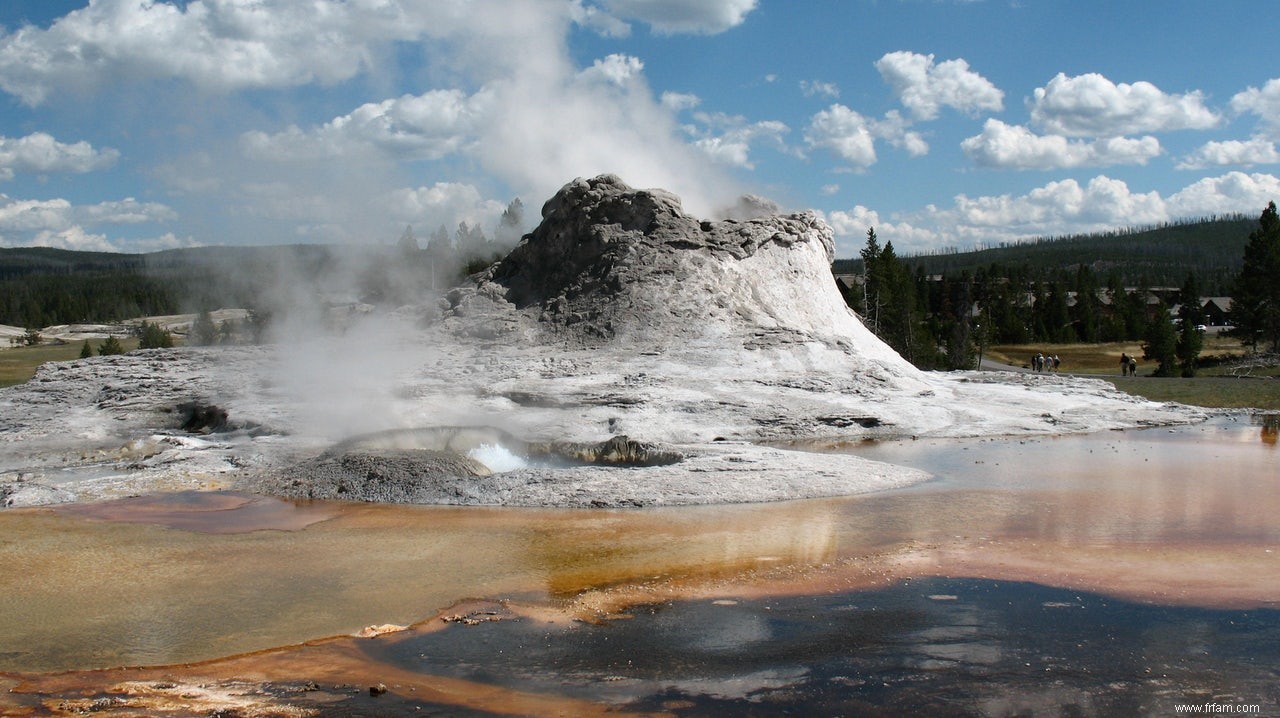 Les microbes sont les dernières créatures sur Terre 