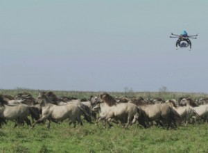 La nature hollandaise sur grand écran 