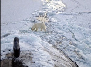 Pourquoi le pôle Nord doit rester froid 