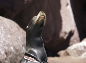 Les pêcheurs ne se contentent pas d attraper du poisson 