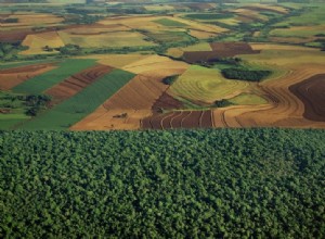 Plus de forêt tropicale et plus d agriculture :c est possible 