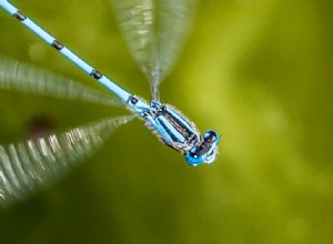 La peur inhibe l influence du changement climatique 